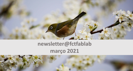 Newsletter Março 2021