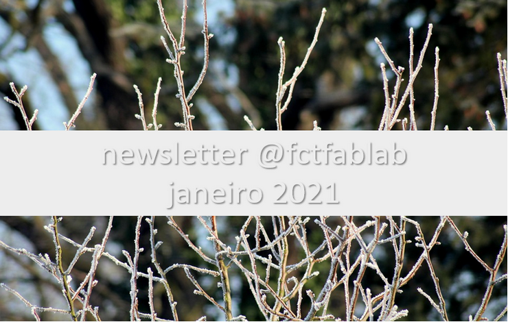 Newsletter Janeiro