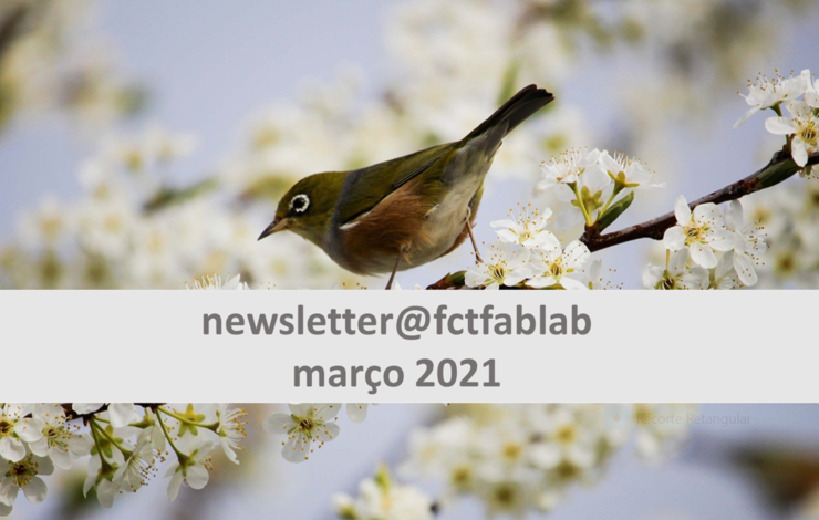 Newsletter Março 2021