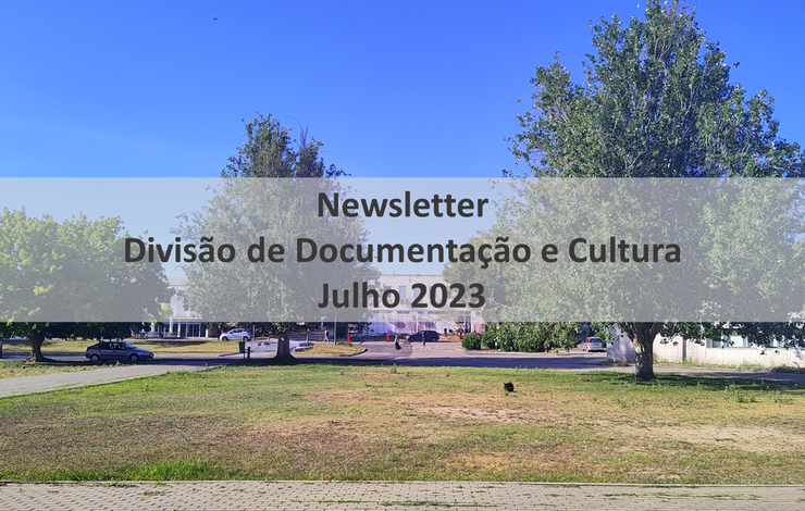 Newsletter | Julho 2023